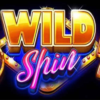 A Quick Overview of Wild Spin Slots Game